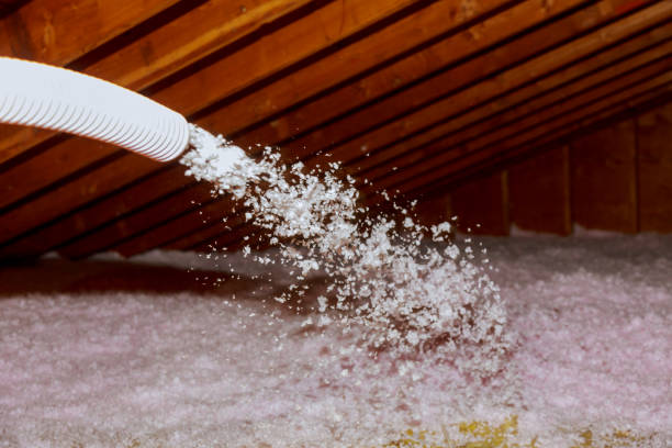 Best Insulation Repair Services  in Broomall, PA